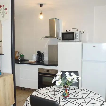 Caroline Apartment Oyonnax Exterior photo