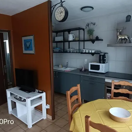 Caroline Apartment Oyonnax Exterior photo